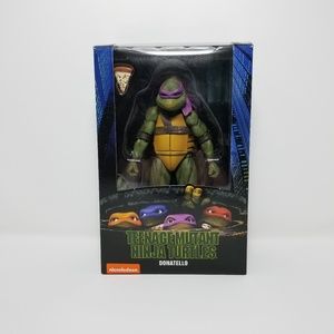 Teenage Mutant Ninja Turtle Action Figure